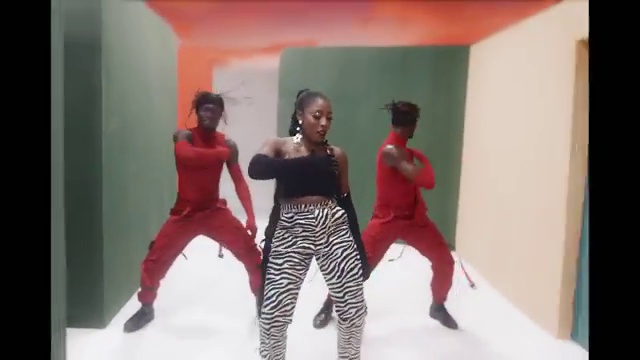 Nissi - Gravity ft Major League Djz | Photo 2