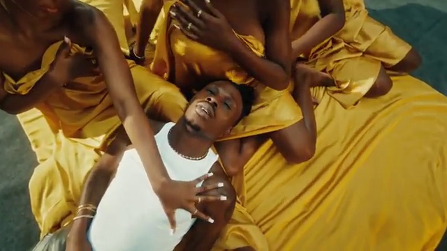FireBoy DML - Ecstasy ft Seun Kuti | Photo 3