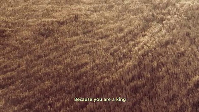 Adekunle Gold - It Is What It Is | Photo 2