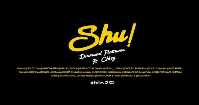 Diamond Platnumz - Shu ft Chley | Photo 5