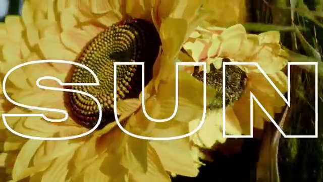 Shane Eagle - Sun
