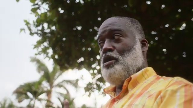 Koffee - West Indies | Photo 4